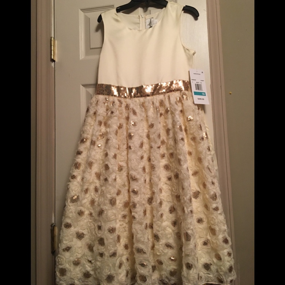 Brand new Size 16 girl’s dress.